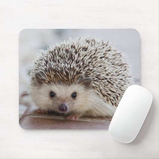 Pet Hedegel Muismat (Met muis)