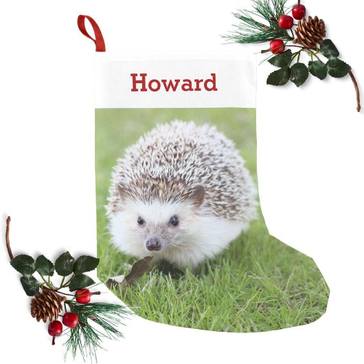 Pet Hedgehog Lover Eigenaar Foto & Naam Gepersonal Kleine Kerstsok