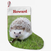 Pet Hedgehog Lover Eigenaar Foto & Naam Gepersonal Kleine Kerstsok (Voorkant)