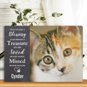 Pet Herdenking Cat Memorial Fotoplaat