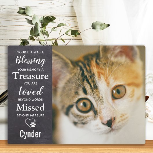 Pet Herdenking Cat Memorial Fotoplaat