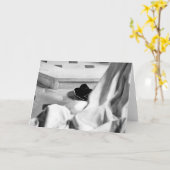 Pet het altaar kaart (Gele Bloem)