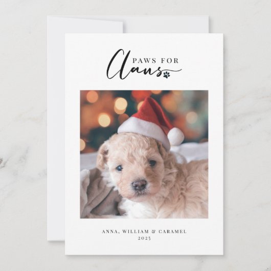 Pet Holiday Fotokaart "Paws for Claus" Platte Kaar (Voorkant)