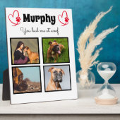 Pet hond 4 fotocollage aanpassen fotoplaat (Zijkant)