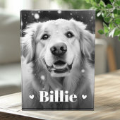 Pet hond kat naam harten fotoblokken