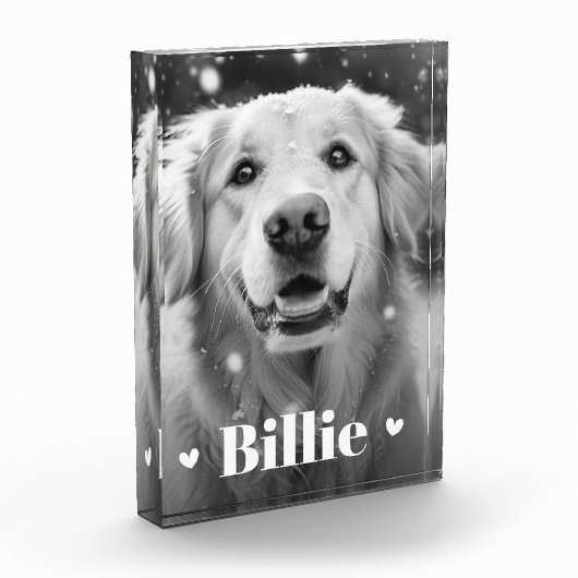 Pet hond kat naam harten fotoblokken (Links)