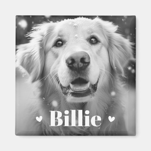 Pet hond kat naam harten magneet (Voorkant)