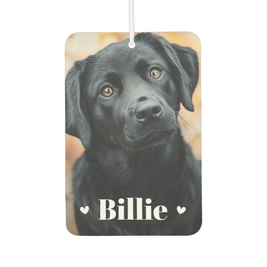 Pet hond kat naam harten twee foto's luchtverfrisser (Voorkant)