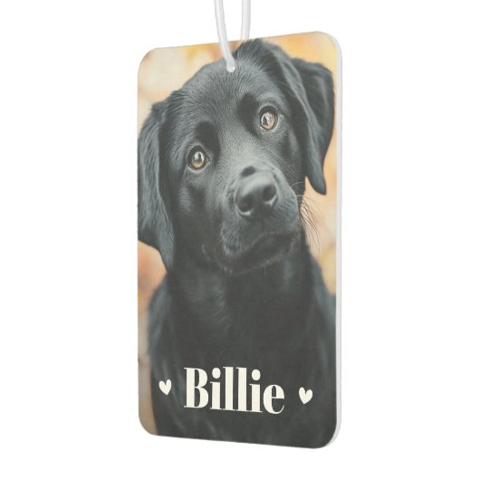 Pet hond kat naam harten twee foto's luchtverfrisser (Links)