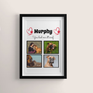 Pet hondenliefhebber 4 fotocollage op maat poster
