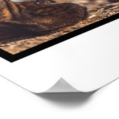 Pet hondenliefhebber 4 fotocollage op maat poster (Hoek)