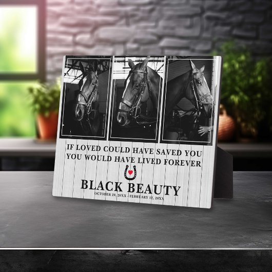 Pet Horse Loss | Paard 3 Foto Memorial Plaque Fotoplaat