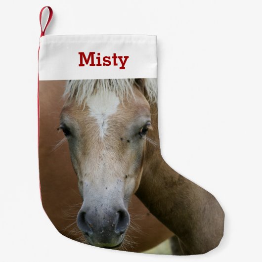 Pet Horse Pony Lover Foto & Naam Gepersonaliseerd Kleine Kerstsok (Voorkant)