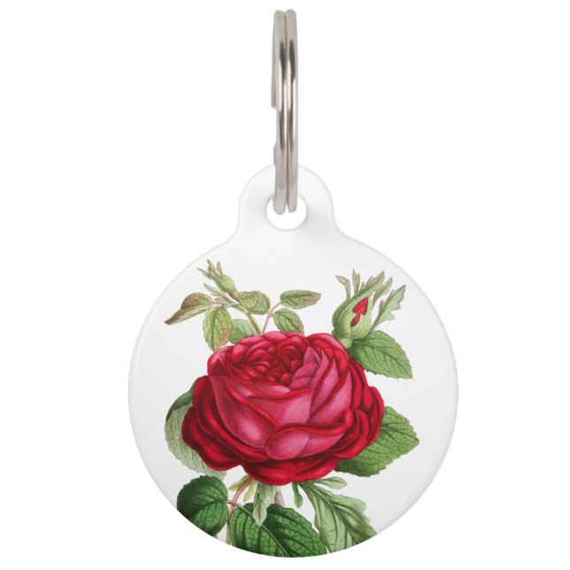 Pet Identification Red Rose Flower  Huisdierpenning (Voorkant)