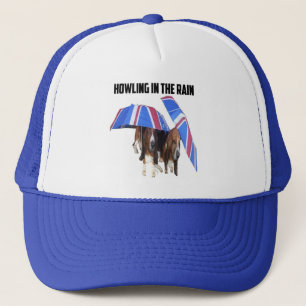Pet kast-beugels in de regen