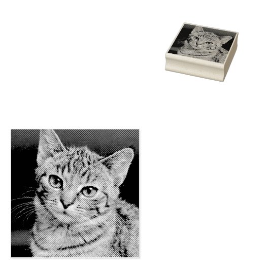 Pet Kat Hond Aangepaste Foto Rubberstempel (Gestempeld)