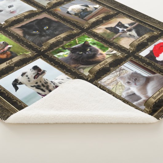 Pet Keepomwille,  12 Foto / Maanden - Groot Sherpa Deken (3/4)