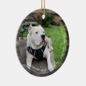 Pet Keepomwille Circular Grunge 2 Foto Keramisch Ornament (Rechts)