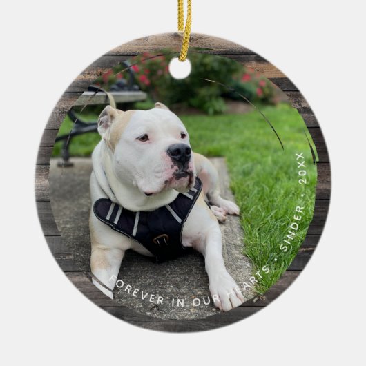 Pet Keepomwille Circular Grunge 2 Foto Keramisch Ornament (Voorkant)