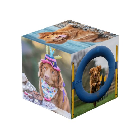 Pet Keepsake Puppy Dog Foto Kubus (Achter hoekig)