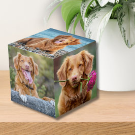 Pet Keepsake Puppy Dog Foto Kubus