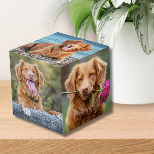 Pet Keepsake Puppy Dog Foto Kubus
