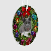 Pet Kerstacrylversier Ornament (voorkant)