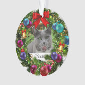 Pet Kerstacrylversier Ornament (voorkant)