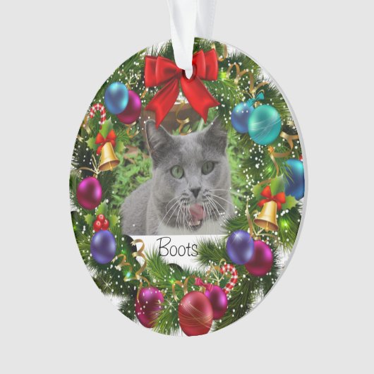 Pet Kerstacrylversier Ornament (voorkant)