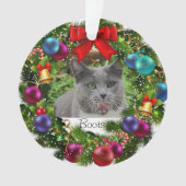 Pet Kerstacrylversier Ornament (voorkant)