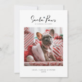 Pet-kerstfotokaart "Santa Paws" — Kaart voor flatp (Voorkant)