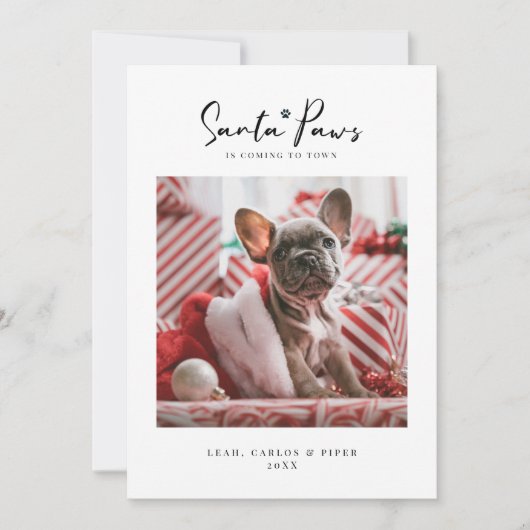 Pet-kerstfotokaart "Santa Paws" — Kaart voor flatp (Voorkant)