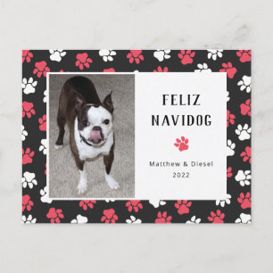 Pet-kerstkaart Foto Funny Briefkaart