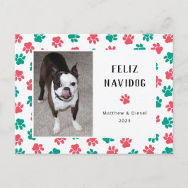 Pet-kerstkaart Foto Funny Red Green Briefkaart
