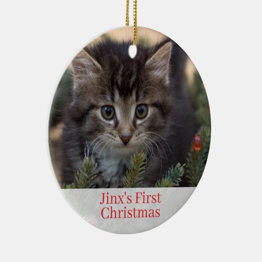 Pet Kittens Eerste kerstfoto Ornament (Rechts)