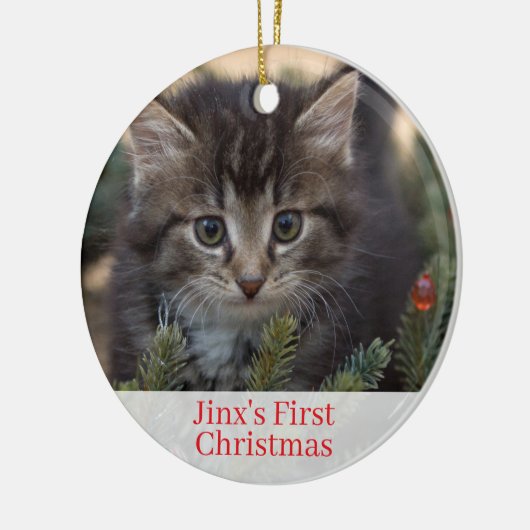 Pet Kittens Eerste kerstfoto Ornament (Links)