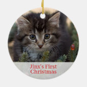 Pet Kittens Eerste kerstfoto Ornament (Achterkant)