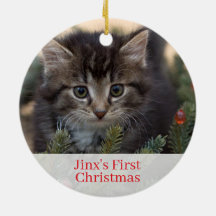 Pet Kittens Eerste kerstfoto Ornament