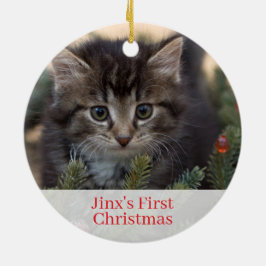 Pet Kittens Eerste kerstfoto Ornament