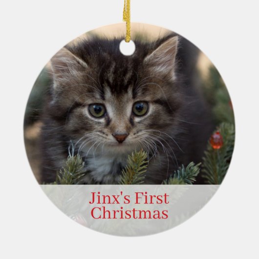 Pet Kittens Eerste kerstfoto Ornament (Achterkant)