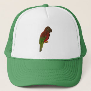 PET KUNST EN DESIGN STIJL