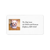 PET-label Etiket (Voorkant)