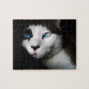 Pet Life   Zwarte witte siamese kat blauwe ogen fo Legpuzzel