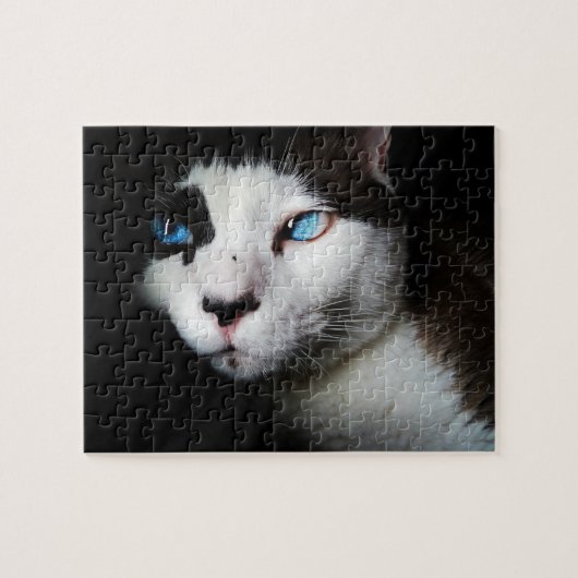 Pet Life | Zwarte witte siamese kat blauwe ogen fo Legpuzzel (Horizontaal)