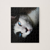 Pet Life | Zwarte witte siamese kat blauwe ogen fo Legpuzzel (Verticaal)