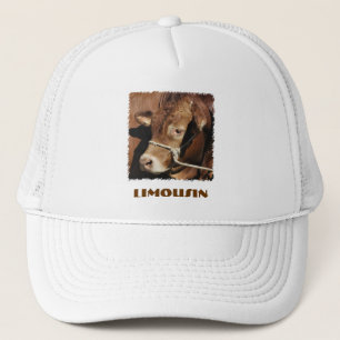 Pet Limousin
