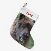 Pet Llama Lover Eigenaar Foto & Naam Gepersonalise Kleine Kerstsok (Voorkant (Hangend))
