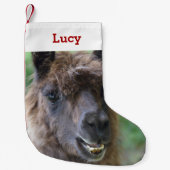 Pet Llama Lover Eigenaar Foto & Naam Gepersonalise Kleine Kerstsok (Voorkant)