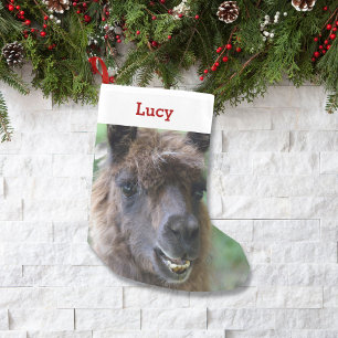 Pet Llama Lover Eigenaar Foto & Name Persoonlijk Kleine Kerstsok