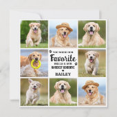 Pet Loss Custom 8 Foto Hond Memorial Sympathie Bedankkaart (Voorkant)